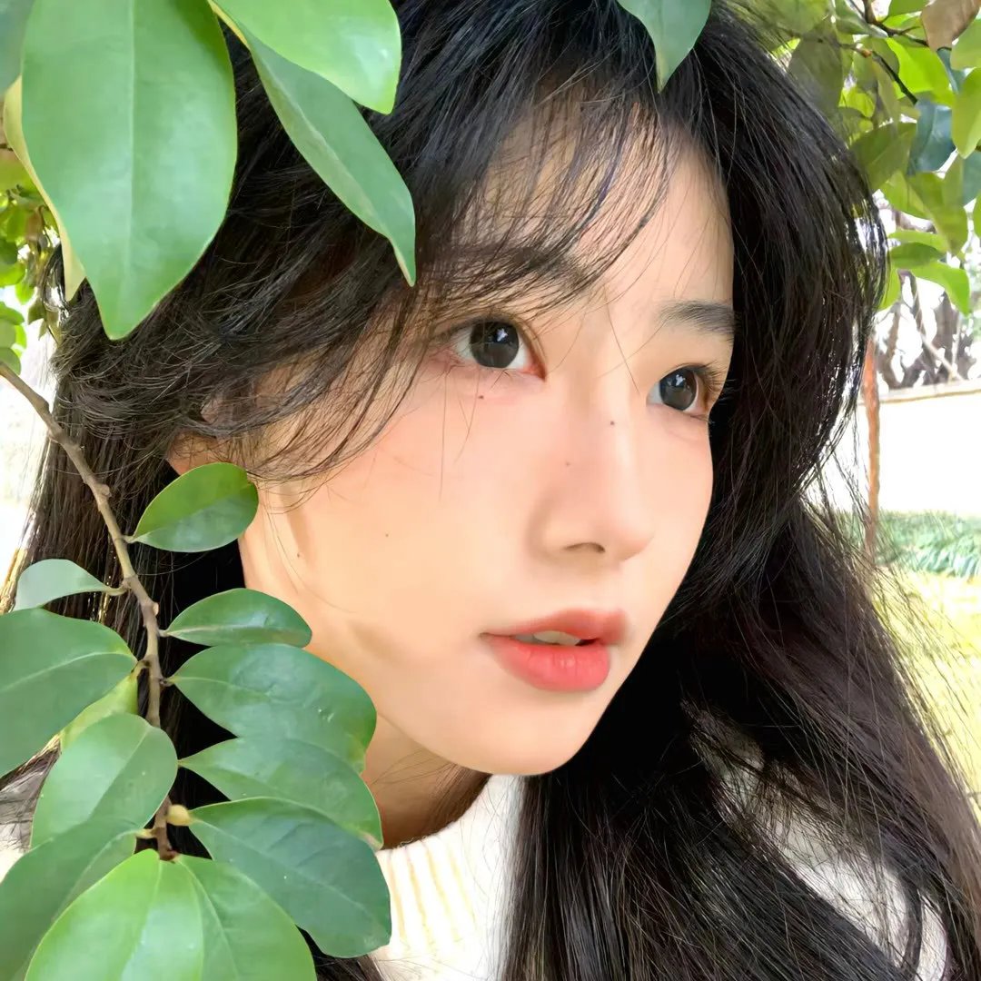 大师的菜